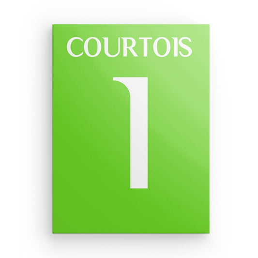 Courtois Real Madrid Canvas